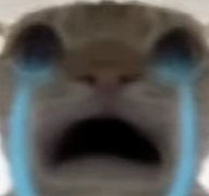哭.png